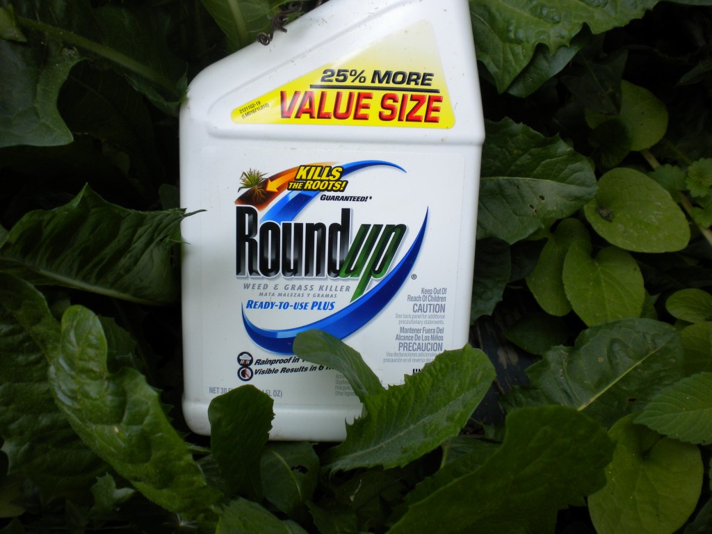 Roundup is more toxic than declared proves new Seralini study