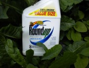 roundup