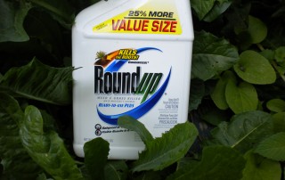 roundup